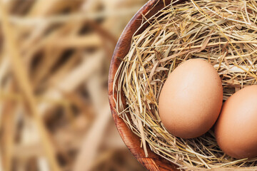 Chicken eggs on rustic hay in wooden bowl isolated. Empty copy space healthy farm food background. Countryside food farm. Rustic healthy eggs for dinner.