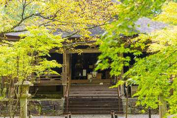京都　三千院