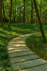 A small lane in a park in Hangzhou, autumn time.