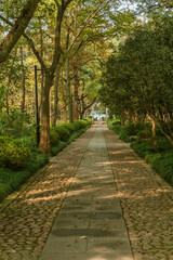 Fototapeta na wymiar A small lane in a park in Hangzhou, autumn time.