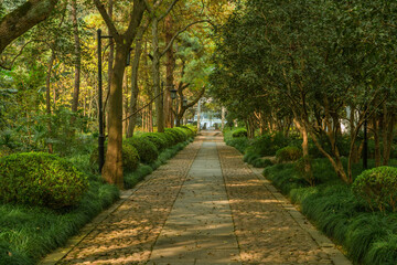 A small lane in a park in Hangzhou, autumn time.