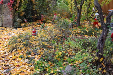 Herbst, Laub, Blätter, Garten, Wiese