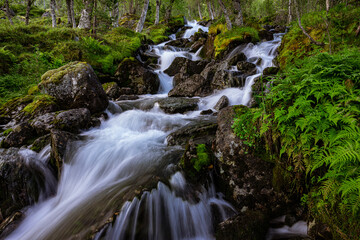 Fototapeta premium Waterfall with variations and a river