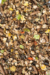  natural sportive  muesli and granules background. for horse. top view