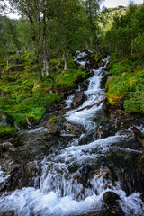 Fototapeta premium Waterfall with variations and a river