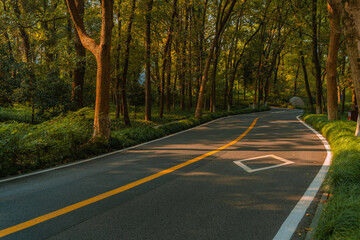 A road in forest in autumn time.