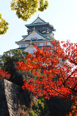 紅葉で色付く大阪城