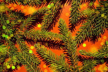 Fir branches on a red background with colorful bokeh lights. Background image.