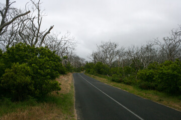 Naklejka premium Great Ocean Road, Victoria, Australia