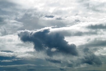 a gray cloud like a big bear floats across the sky