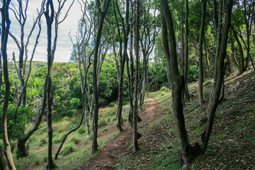 Fototapeta premium Hike through Royal National Park to Figure 8 Pool, Sydney, New South Wales, Australia