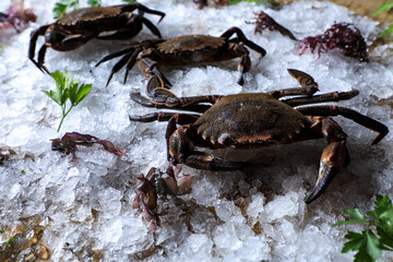 fresh crabs on ice in a food market