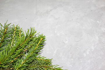 Christmas evergreen spruce tree on gray texture background. Fir branch on the gray beton background. Christmas decoration. Green fir tree branch for christmas.