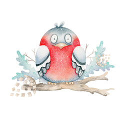 Bullfinch on a branch. Watercolor. Winter compensation.