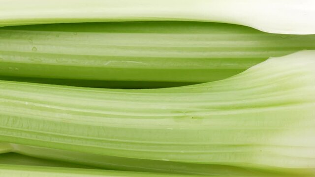 Fresh celery, close-up. Celery stalk.