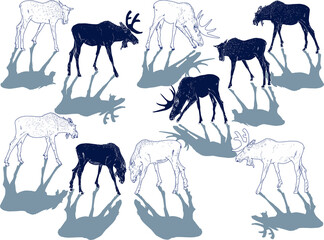 dark blue deer sketches with shadows on white