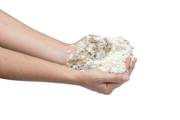 Whole grains of uncooked Thai Jasmine Rice with black and white molds growing on the surface...