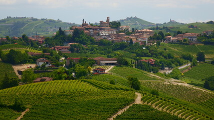 Fototapeta na wymiar Neive and vineyard - Langhe - Piedmont - Italy
