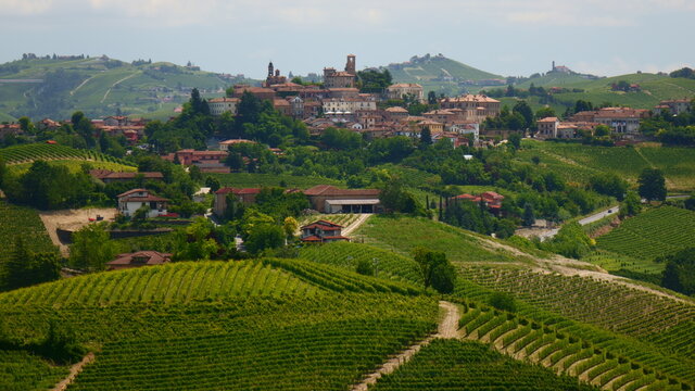 Neive and vineyard - Langhe - Piedmont - Italy
