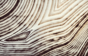 Fototapeta premium closeup of contrast agate grey dark and light lines