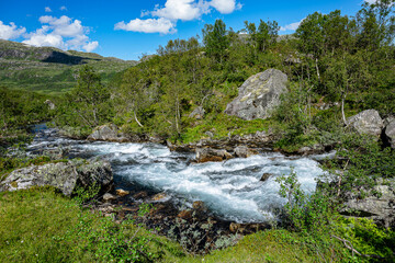 Fototapeta na wymiar Wild river with rapids in the water