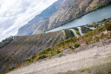 Autumn in Douro Valley, Portugal