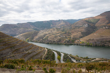 Obraz na płótnie Canvas Autumn in Douro Valley, Portugal