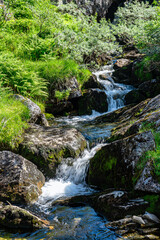 Flowing creek over stones in the daylight