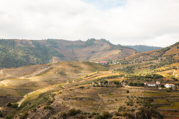 Fototapeta na wymiar Autumn in Douro Valley, Portugal