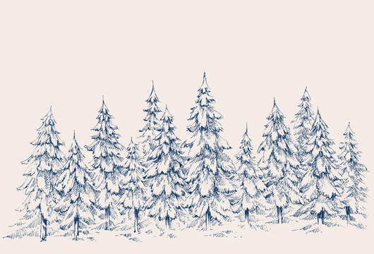 Pine forest hand drawn border. Winter landscape
