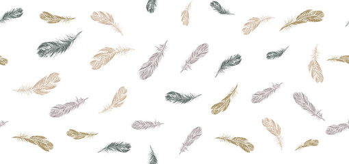 Fototapeta na wymiar Set of bird feathers. Hand drawn sketch style.