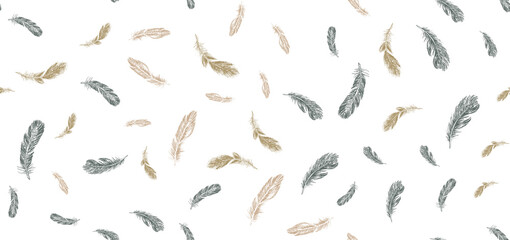 Set of bird feathers. Hand drawn sketch style.