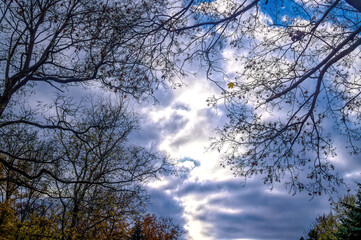 Moody autumn sky. Rainy clouds and bared autumn tree branches