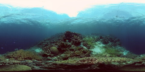 Naklejka na ściany i meble Underwater fish reef marine. Tropical colourful underwater seascape. Philippines. 360 panorama VR
