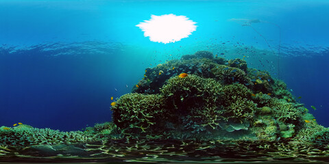 Fototapeta na wymiar The underwater world of coral reef with fishes at diving. Coral garden under water. Coral Reef Fish Scene. Philippines. 360 panorama VR