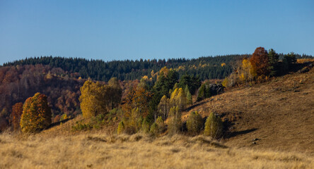 Autumn landscape of Maramures (Transylvania, Romania)	