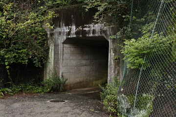 山の中のトンネルの写真
