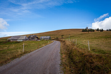 
A road in the mountains under a clear clear blue sky, autumn Schwarzwald