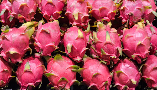 Group of dragon fruit or pitaya fruit in basket at super market