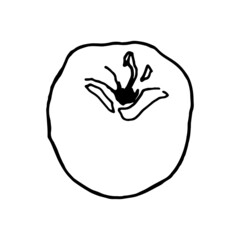 Apple slice, black outline on a white background. Linear vector drawing. Element for the design of cards, prints, textiles and background.