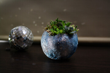 Textured hypertufa terrarium with succulents composition and glittering disco ball