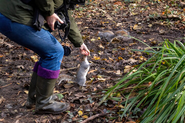 person walking in the woods feeding a squirrel 