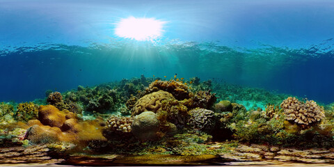 Naklejka na ściany i meble Beautiful underwater landscape with tropical fishes and corals. Life coral reef. Reef Coral Garden Underwater. Philippines. 360 panorama VR