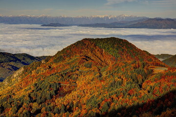 山田牧場周辺の紅葉
