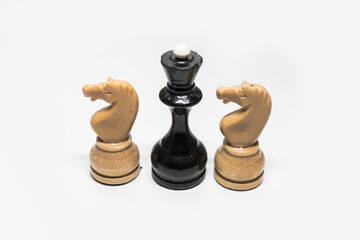 chess pieces knight and Queen on a white background