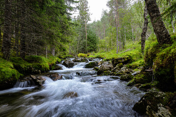 Obraz premium Stream of a creek with cascades
