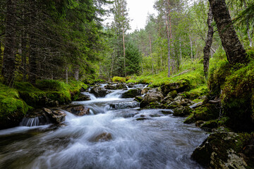 Stream of a creek with cascades