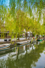 秋の水郷柳川の観光【福岡県柳川市】