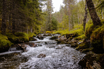 Stream of a creek with cascades