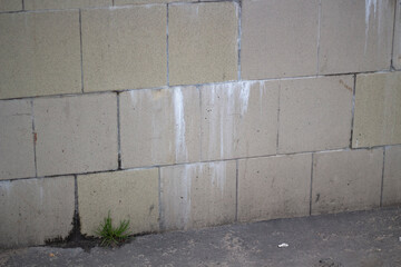 Spoiled tiles. Destruction of ceramic tiles by moisture. 